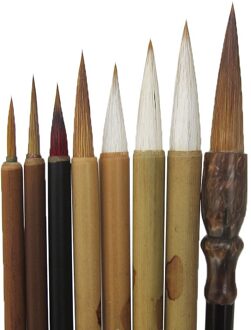 Beginner Begonnen Nauwgezet Schilderen Schrijven Borstel Sets Freehand Bloem en Vogel Schilderij Aquarel Kalligrafie Pen