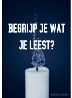 Begrijp Je Wat Je Leest? - (ISBN:9789463672658)