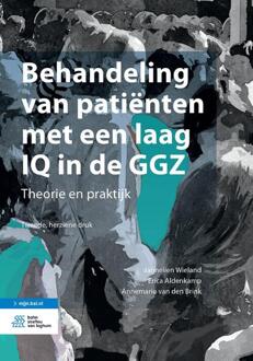 Behandeling Van Patiënten Met Een Laag Iq In De Ggz - Jannelien Wieland