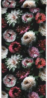 behang bloemen roze, zwart en donkergroen - 0,53 x 10,05 m - Rood, Zwart, Groen, Roze