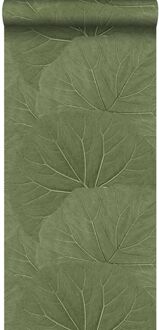 behang grote bladeren vergrijsd olijfgroen - 0,53 x 10,05 m - Groen, Grijs