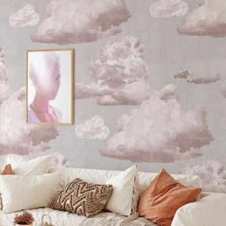 Behang - Roze Wolken - Vegan Papier - 250x200cm, 5.5m2