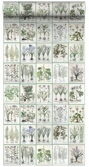 behang XXL bladzijden botanisch bloemen en planten boek licht Blauw