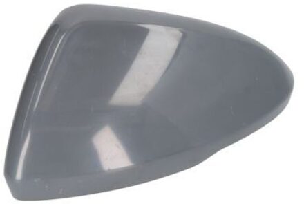 Behuizing, buitenspiegel 6103010405291P