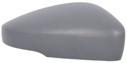 Behuizing, buitenspiegel 6103011311114P