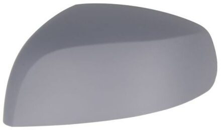 Behuizing, buitenspiegel 6103042001975P