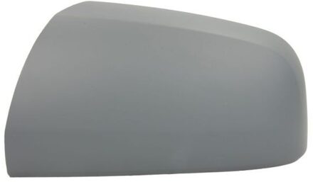 Behuizing, buitenspiegel 6103042002047P