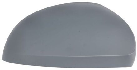 Behuizing, buitenspiegel 6103102002266P