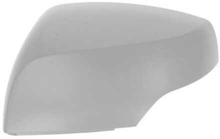 Behuizing, buitenspiegel 6103172002393P