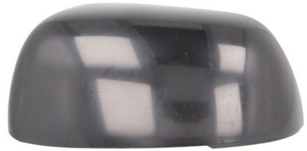 Behuizing, buitenspiegel 6103532001539P