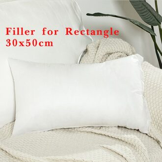 Beige Linnen Kussenhoes 45x4 5Cm/30x50cmTassels Borduren Kussensloop Boho Stijl Voor Home Decor Netural Woonkamer slaapkamer Filler for rechthoek