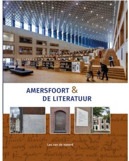 Bekking & Blitz Uitg. Amersfoort & De Literatuur - Lex van de Haterd