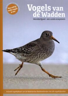 Bekking & Blitz Uitg. Vogels Van De Wadden - Marc Plomp