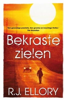 Bekraste zielen - eBook R.J. Ellory (9026133596)