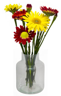 Bela Arte Bloemenvaas Bela Arte - transparant glas - 15 x 20 cm - melkbus vaas met smalle hals