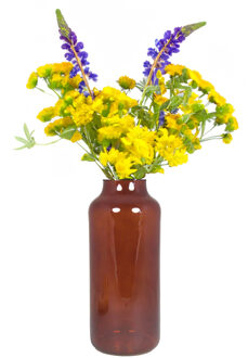 Bela Arte Bloemenvaas Milan - transparant bruin glas - D15 x H35 cm - melkbus vaas met smalle hals