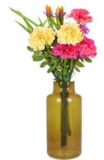 Bela Arte Bloemenvaas Milan - transparant oker geel glas - D15 x H30 cm - melkbus vaas met smalle hals