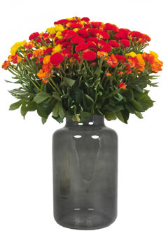 Bela Arte Bloemenvaas Milan - transparant smoke grijs glas - D15 x H25 cm - melkbus vaas met smalle hals