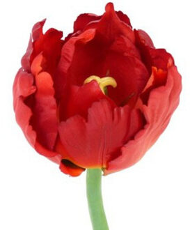 Belatio Flowers & plants Kunstbloem tulp deluxe - rood - 25 cm - Kunstbloemen