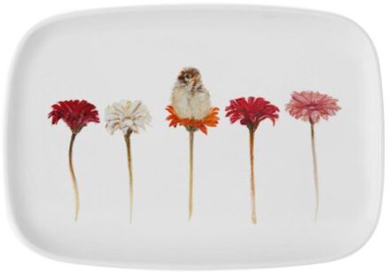 Beleduc Bekking & blitz dienblad : angelique weijers hallo kleintje