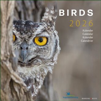 Beleduc Birds Maandkalender 2026, Vogelbescherming