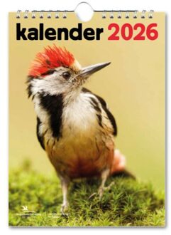 Beleduc Vogelbescherming Maandkalender 2026