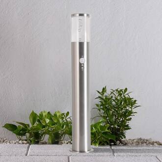 Belen bewegingsmelder met LED roestvrij staal, helder