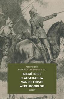 Belgie in de slagschaduw van de Eerste Wereldoorlog - Boek Henk van der Linden (9461533047)