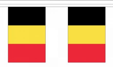 Belgie landen vlaggenlijn - 900 cm - polyester - 30 vlaggetjes - versiering Multi