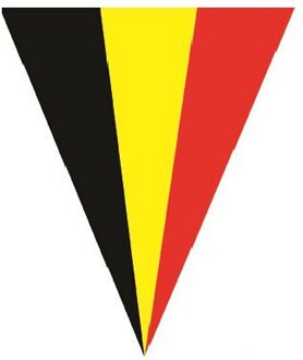 Belgie vlaggenlijn - slinger - landen - 5 meter - puntvlaggetjes - plastic Multi