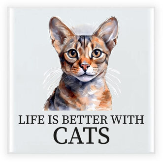 Bella Cadeau tegel kattenliefhebber - Cornish Rex kat/poes - keramiek - waterverf - 15 cm