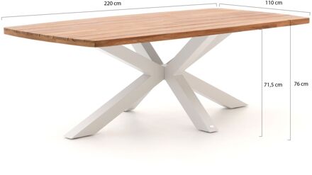 Bellagio Induno Deens Ovaal dining tuintafel 220x110cm - Laagste prijsgarantie! Bruin