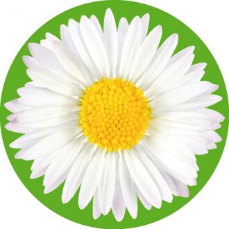 Bellatio Decorations 10 ronde onderzetters met madelief