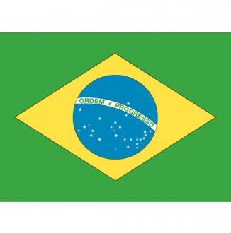 Bellatio Decorations 10x Binnen en buiten stickers Brazilie 10 cm -  Braziliaanse stickers - Supporter feestartikelen - Landen decoratie en versieringen