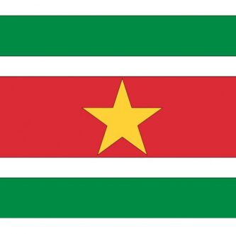 Bellatio Decorations 10x Binnen en buiten stickers Suriname 10 cm - Surinaamse vlag stickers - Supporter feestartikelen - Landen decoratie en versieringen