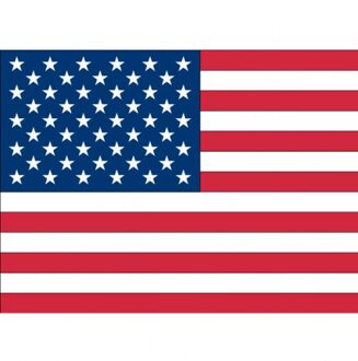 Bellatio Decorations 10x Binnen en buiten stickers USA/Amerika 10 cm - Amerikaanse vlag stickers - Supporter feestartikelen - Landen decoratie en versieringen