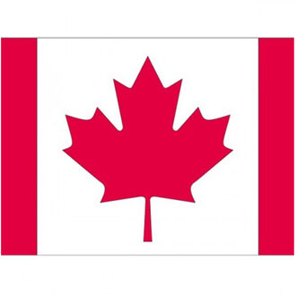 Bellatio Decorations 10x stuks Vlag Canada stickers