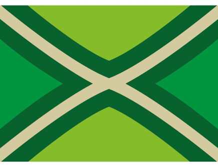 Bellatio Decorations 20x Achterhoekse streekvlag stickers 7.5 x 10 cm - Gelderland / De Graafschap - Achterhoek thema decoratie