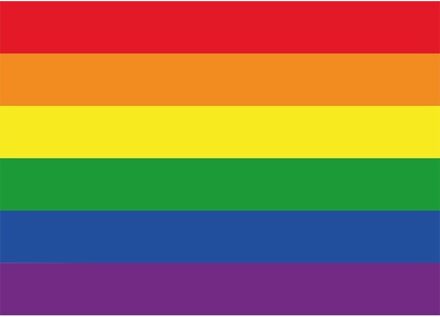 Bellatio Decorations 20x Regenboog vlag / LGBT vlag stickers 10 cm