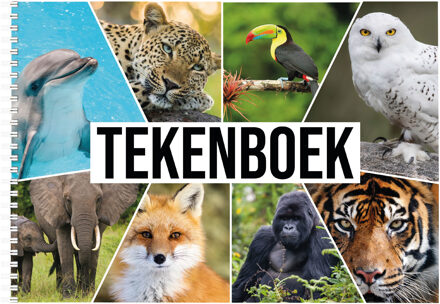 Bellatio Decorations 3x A4 tekenboek/ schetsboek/ kleurboek/ schetsblok met dieren voor  volwassenen en kinderen - 50 vellen tekenblok/ tekenpapier