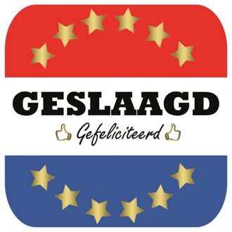 Bellatio Decorations 45x Geslaagd / afgestudeerd bierviltjes - Bierfiltjes Multikleur