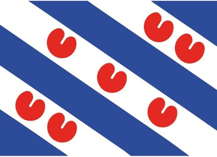 Bellatio Decorations 5x Friesland vlag stickers 7.5 x 50 cm