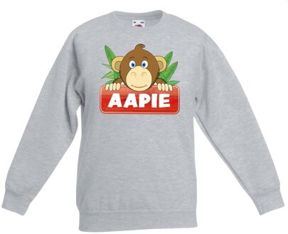 Bellatio Decorations Aapie het aapje sweater grijs voor kinderen - unisex - apen trui 12-13 jaar (152/164)