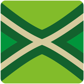 Bellatio Decorations Achterhoekse vlag bierviltjes van karton - 15x stuks - glasonderzetters Groen