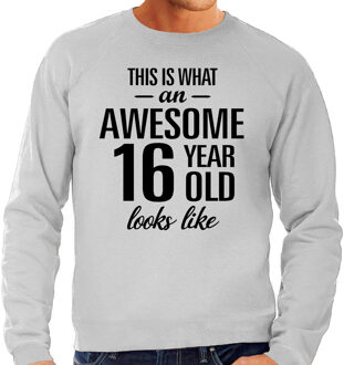 Bellatio Decorations Awesome 16 year / 16 jaar cadeau sweater / trui grijs heren 2XL