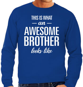 Bellatio Decorations Awesome brother / broer cadeau sweater blauw heren