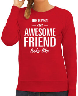 Bellatio Decorations Awesome friend / vriend cadeau trui rood dames