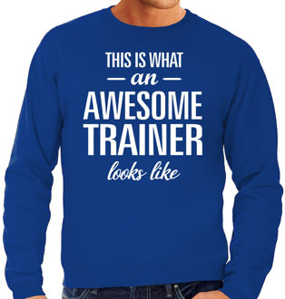 Bellatio Decorations Awesome / geweldige trainer cadeau sweater blauw heren 2XL