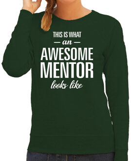 Bellatio Decorations Awesome mentor / lerares cadeau sweater / trui groen dames L