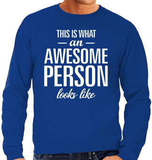 Bellatio Decorations Awesome person / persoon cadeau sweater blauw heren 2XL